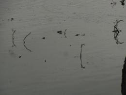 letters in water